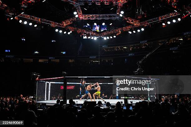 The MMA story – How Brazil Created the Fight That Conquered the&nbsp;World
